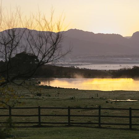 Under Oaks Guesthouse Paarl Bagian luar foto