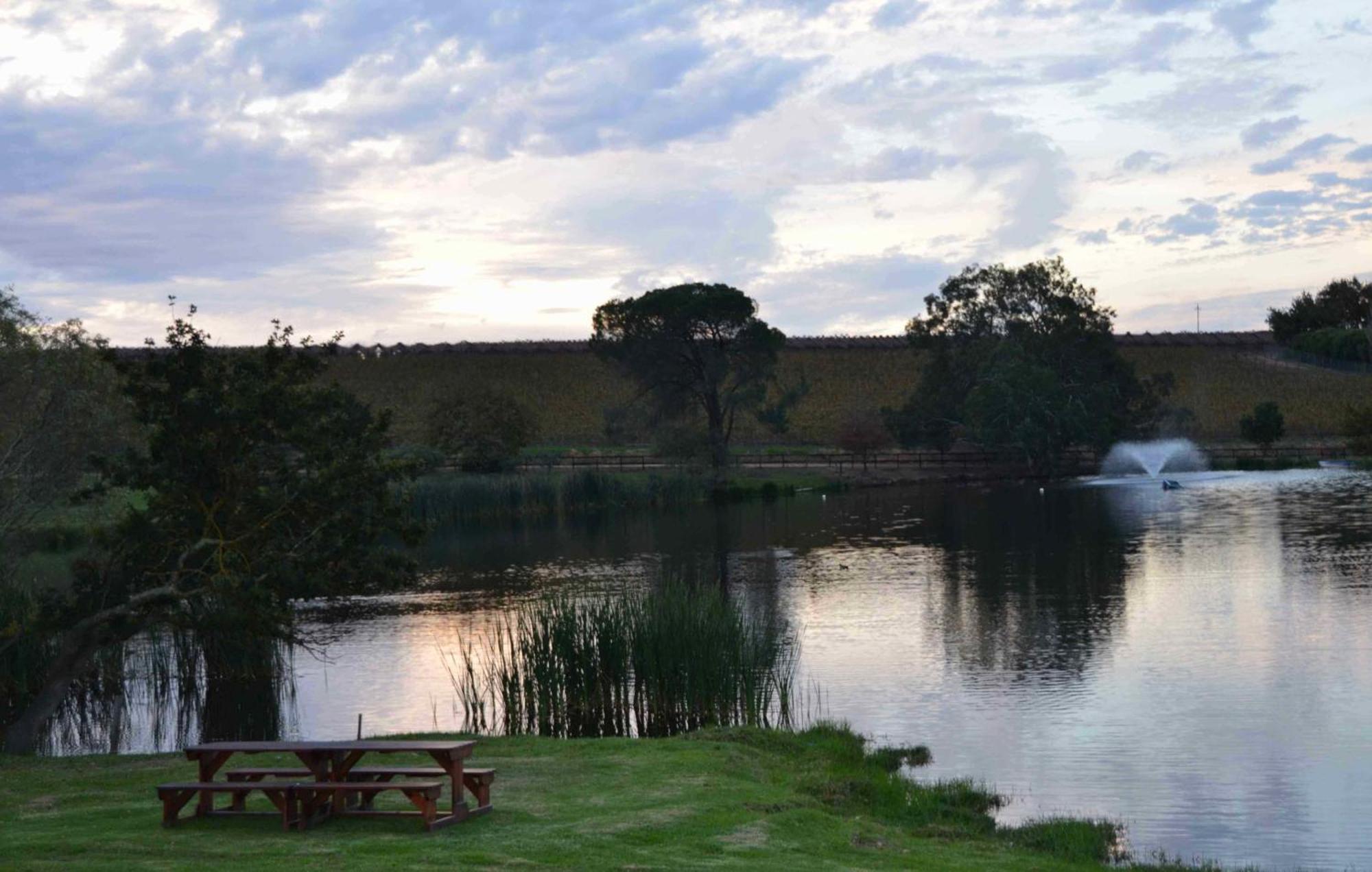 Under Oaks Guesthouse Paarl Ruang foto