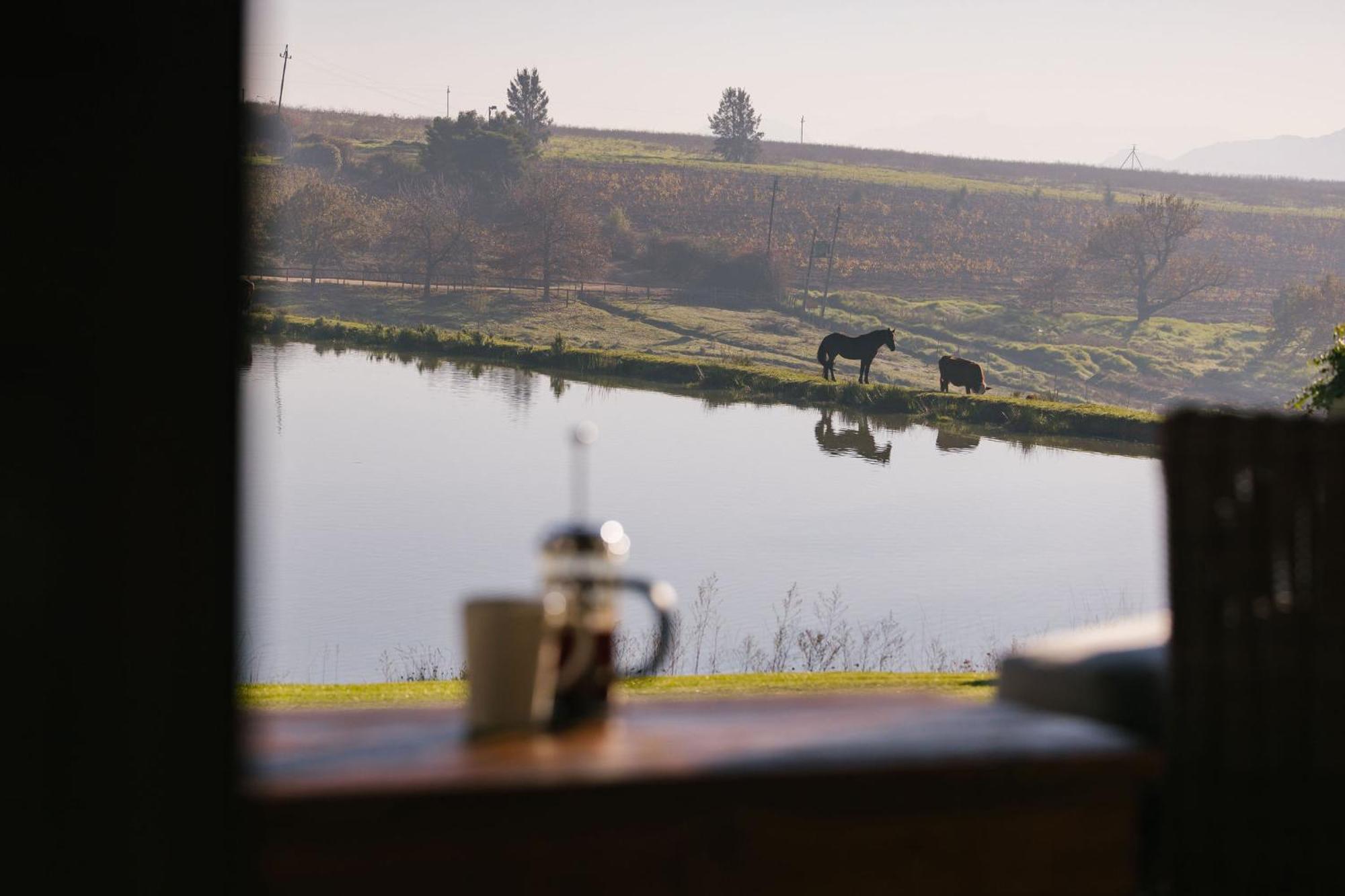 Under Oaks Guesthouse Paarl Bagian luar foto